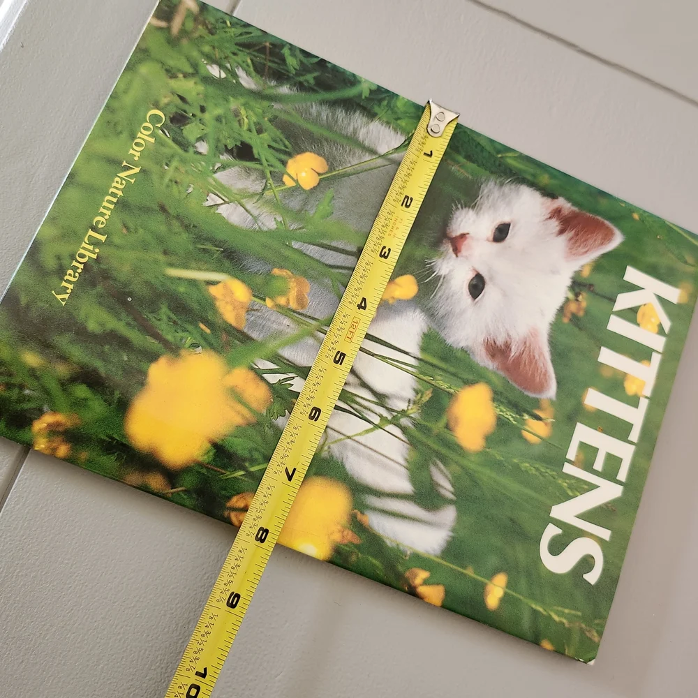 Kittens Book Cover Featuring White Kitten with Yellow Flowers